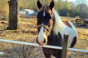 2070 Kingston Hwy, Rome, GA 30161 - Photo 3