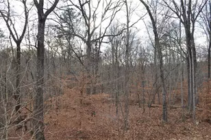 2804 Sawyer Mill Dr, Gainesville, GA 30507 - Photo 17