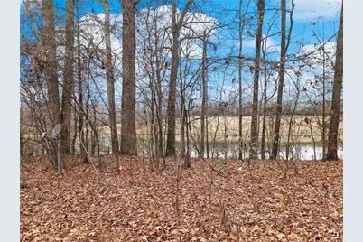 5222 Bogus Road, Gainesville, GA 30506 - Photo 37