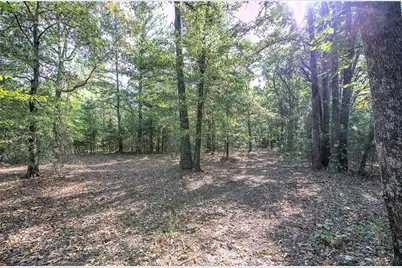 00 Cornelius Road, Cedartown, GA 30125 - Photo 17