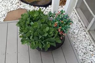 113 Joshua Farms Ln, Ringgold, GA 30736 - Photo 33