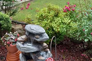 113 Joshua Farms Ln, Ringgold, GA 30736 - Photo 31