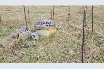 8065 Sandy Cross Road, Carnesville, GA 30521 - Photo 3