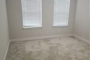 168 Salt Lk Ln, Hoschton, GA 30548 - Photo 29