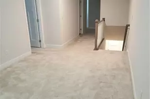 168 Salt Lk Ln, Hoschton, GA 30548 - Photo 37