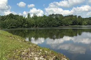 50 Carrington Hills, Douglasville, GA 30134 - Photo 41