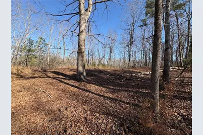 5164 Dudley Hill Road, Gainesville, GA 30506 - Photo 11