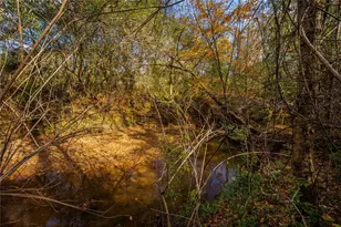 96 Indian Creek Way, Hoschton, GA 30548 - Photo 63