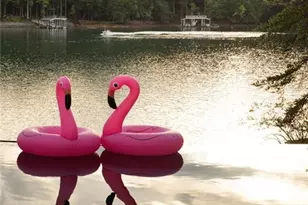 725 Rocky Point Dr, Morganton, GA 30560 - Photo 129