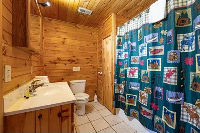 101 Moonshine Mountain Road, Mineral Bluff, GA 30559 - Photo 47