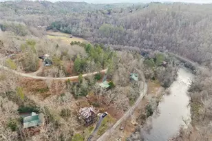 101 Moonshine Mountain Rd, Mineral Bluff, GA 30559 - Photo 5