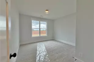 301 Eminence Peak, Rydal, GA 30171 - Photo 23