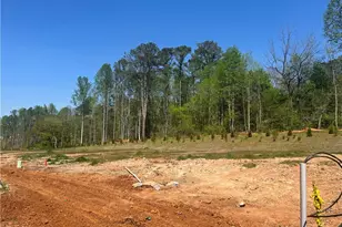 112 Bridgeview (Lot 4) Way, Canton, GA 30114 - Photo 29