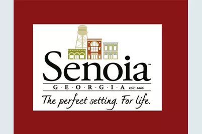 115 Rutland Ct, Senoia, GA 30276 - Photo 69