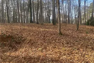 3353 Galts Rd, Acworth, GA 30102 - Photo 7