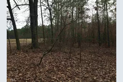 393 Stallsworth Road, McDonough, GA 30252 - Photo 5