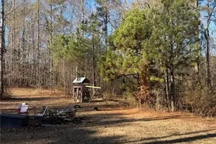 51 White Path Dr, Hiram, GA 30141 - Photo 21