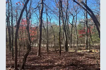 503 Saint Andrews Way, Ellijay, GA 30536 - Photo 3