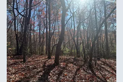 503 Saint Andrews Way, Ellijay, GA 30536 - Photo 5