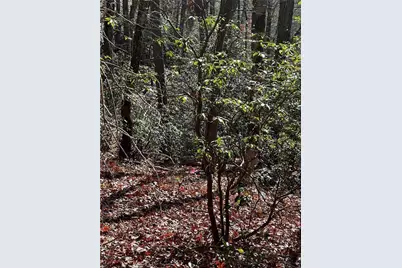 503 Saint Andrews Way, Ellijay, GA 30536 - Photo 7