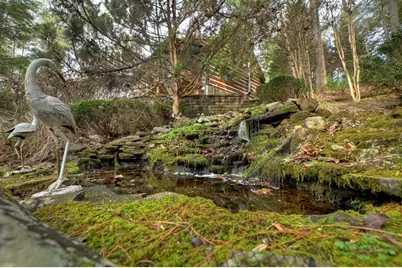 598 Whispering Pine Lane, Cherrylog, GA 30522 - Photo 45