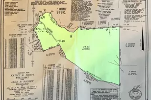 6267 Mt Pisgah Rd, Ellijay, GA 30540 - Photo 51