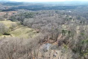 6267 Mt Pisgah Rd, Ellijay, GA 30540 - Photo 53