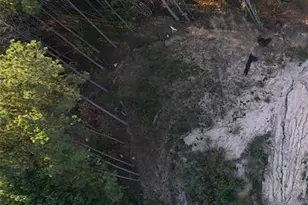 3147 Prince Will Itheme Terrace, East Point, GA 30344 - Photo 1