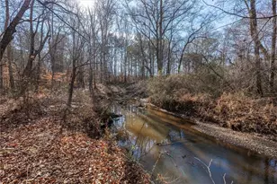 113 Golden Property Rd, Bremen, GA 30110 - Photo 41