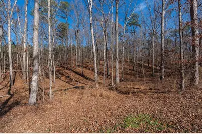 113 Golden Property Rd, Bremen, GA 30110 - Photo 45