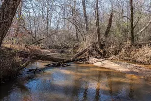 113 Golden Property Rd, Bremen, GA 30110 - Photo 39