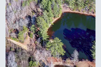 0 Sam Sutton Road NW, Adairsville, GA 30103 - Photo 3