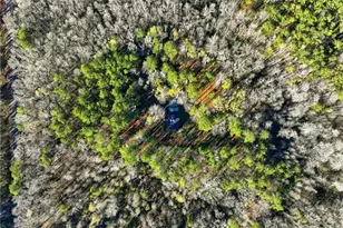 300 Patterson Rd, Griffin, GA 30223 - Photo 41