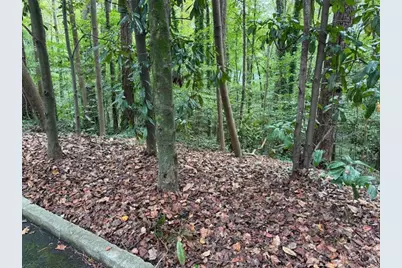 1095 Nawench Drive, Atlanta, GA 30327 - Photo 5