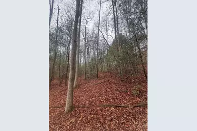 0 W Mountaintown Trail, Ellijay, GA 30540 - Photo 3