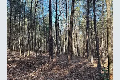 125 Patriot View Dr., Dahlonega, GA 30533 - Photo 9