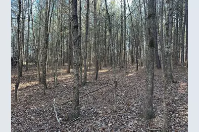 125 Patriot View Dr., Dahlonega, GA 30533 - Photo 7