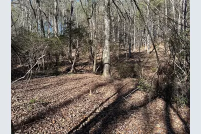125 Patriot View Dr., Dahlonega, GA 30533 - Photo 3