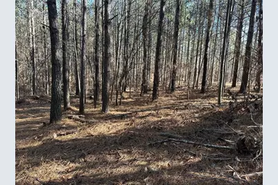 1107 Larmon Forks Road, Dahlonega, GA 30533 - Photo 7