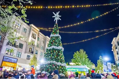 602 Nottaway Lane, Alpharetta, GA 30009 - Photo 59