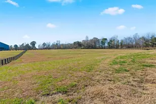 1237 Morgan Rd, Bremen, GA 30110 - Photo 45