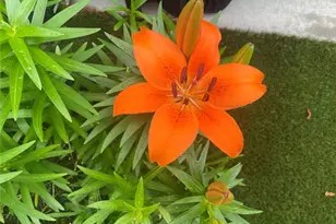 3985 Duke Reserve Cir, Peachtree Corners, GA 30092 - Photo 59