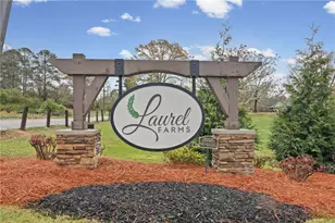157 Laurel Farms Ln, Dallas, GA 30157 - Photo 45