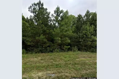 425 Longwood Place, Dallas, GA 30132 - Photo 3