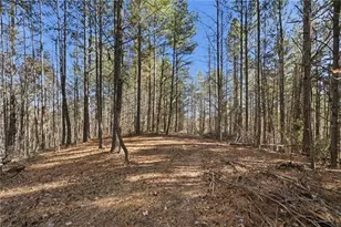 120 Twisted Pnes Xing, Dahlonega, GA 30533 - Photo 51