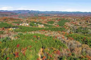 120 Twisted Pnes Xing, Dahlonega, GA 30533 - Photo 59