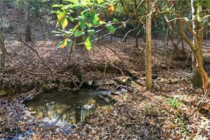 120 Twisted Pnes Xing, Dahlonega, GA 30533 - Photo 49