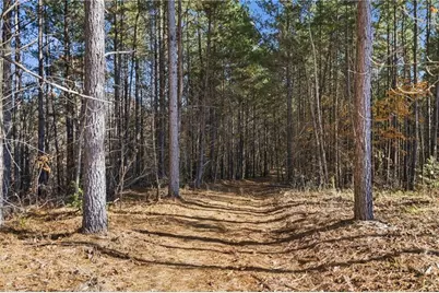 120 Twisted Pines Crossing, Dahlonega, GA 30533 - Photo 53