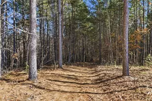 120 Twisted Pnes Xing, Dahlonega, GA 30533 - Photo 53