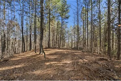 120 Twisted Pines Crossing, Dahlonega, GA 30533 - Photo 57